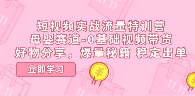 （11373期）短视频实战流量特训营，母婴赛道-0基础带货，好物分享，爆量秘籍 稳定出单-墨韵博客