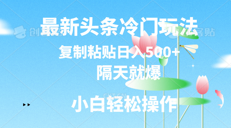 （11414期）最新头条冷门玩法，隔天就爆，复制粘贴日入500+-墨韵博客
