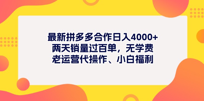 （11410期）最新拼多多项目日入4000+两天销量过百单，无学费、老运营代操作、小白福利-墨韵博客