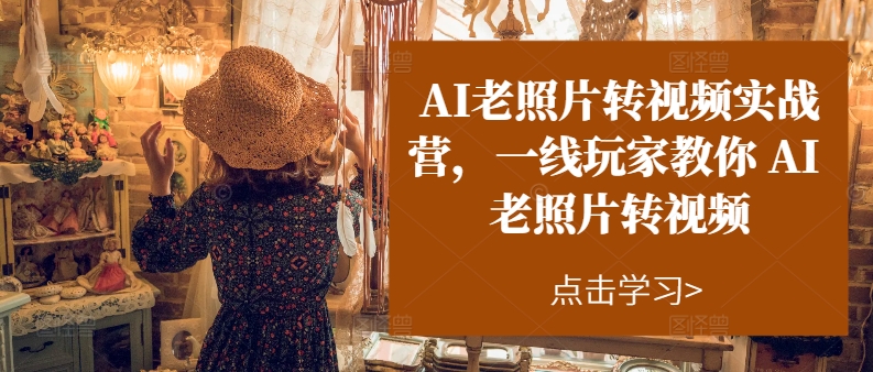 （11477期）AI老照片转视频实操训练营，一线玩家教你AI老照片转视频-墨韵博客