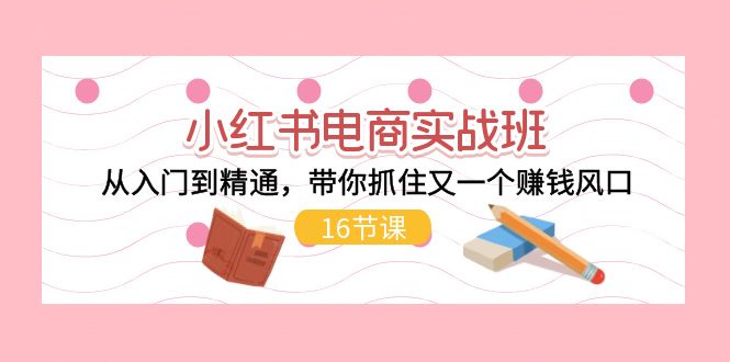 （11533期）小红书电商实战班，从入门到精通，带你抓住又一个赚钱风口（16节）-墨韵博客