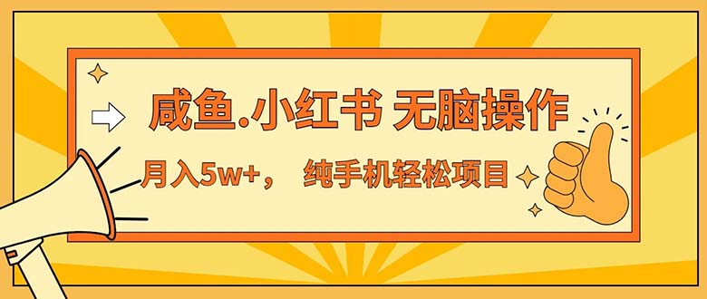 （11524期）2024最赚钱的项目，咸鱼，小红书无脑操作，每单利润500+，轻松月入5万+…-墨韵博客