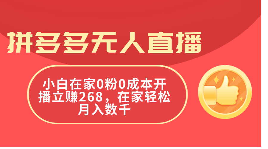 （11521期）拼多多无人直播，小白在家0粉0成本开播立赚268，在家轻松月入数千-墨韵博客