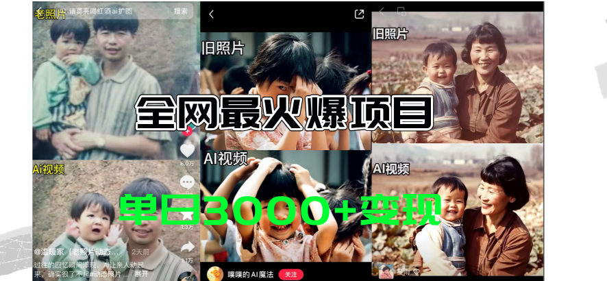 （11546期）全网爆火的AI让老照片动起来教程，蹭热点日赚3000+，内含免费工具一键…-墨韵博客