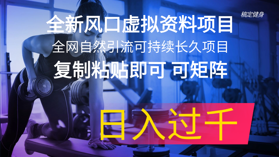 （11587期）全新风口虚拟资料项目 全网自然引流可持续长久项目 复制粘贴即可可矩阵…-墨韵博客