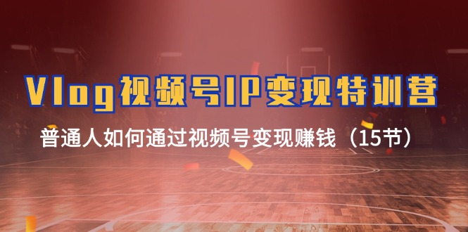 （11654期）Vlog 视频号IP变现特训营，普通人如何通过视频号变现赚钱（15节）-墨韵博客