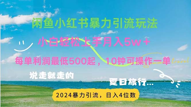 （11650期）2024暑假赚钱项目小红书咸鱼暴力引流，简单无脑操作，每单利润500+，…-墨韵博客