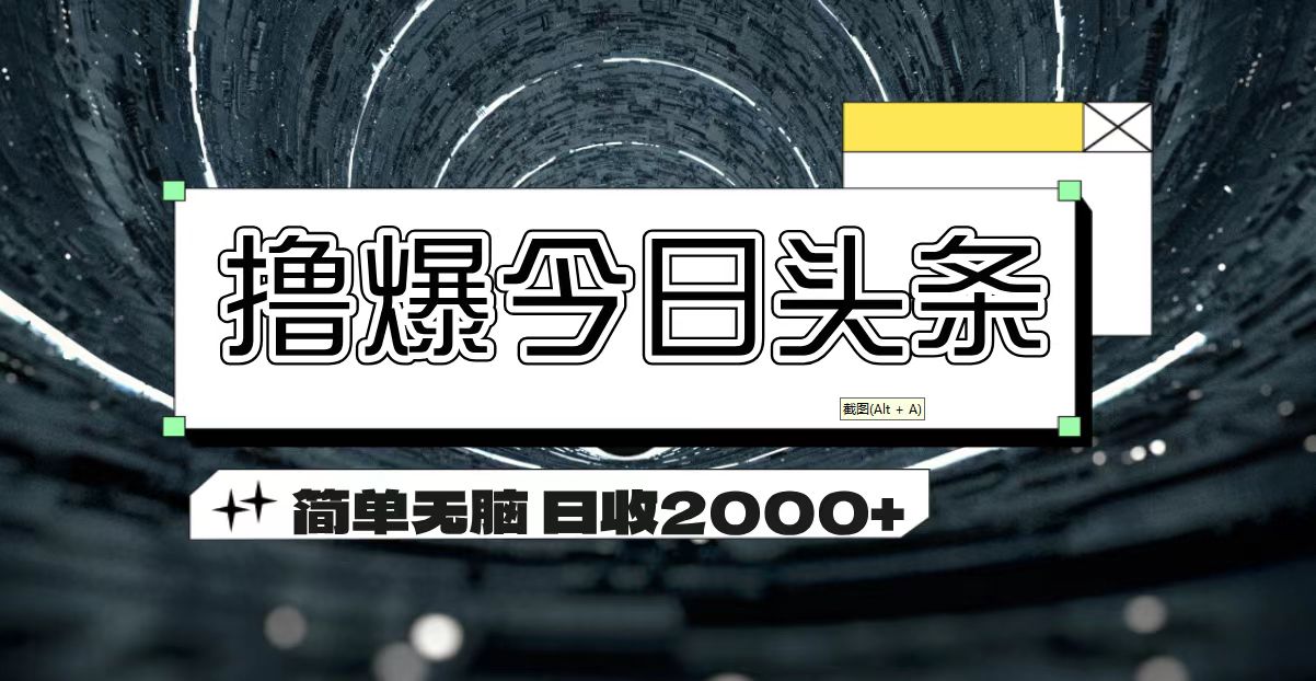 （11665期）撸爆今日头条 简单无脑操作 日收2000+-墨韵博客