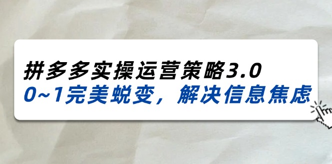 （11658期）2024_2025拼多多实操运营策略3.0，0~1完美蜕变，解决信息焦虑（38节）-墨韵博客