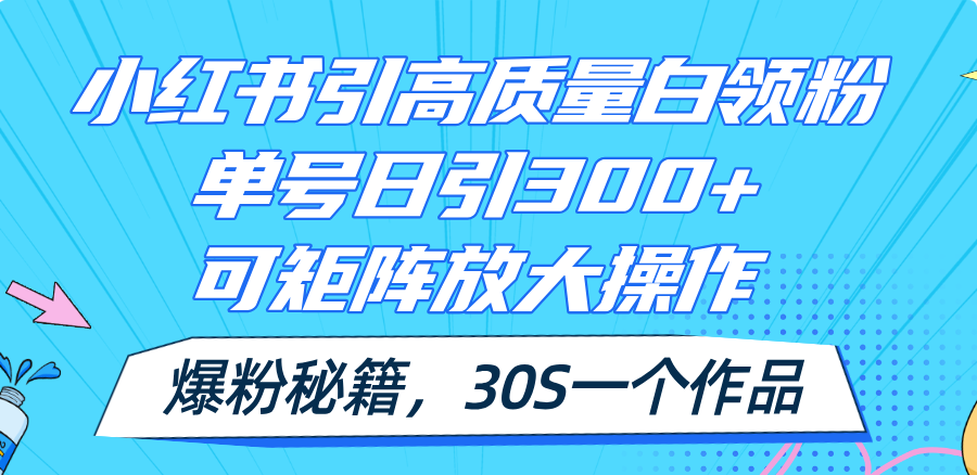 （11692期）小红书引高质量白领粉，单号日引300+，可放大操作，爆粉秘籍！30s一个作品-墨韵博客