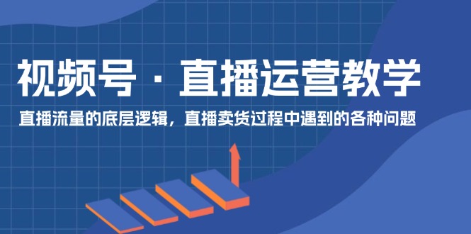（11687期）视频号 直播运营教学：直播流量的底层逻辑，直播卖货过程中遇到的各种问题-墨韵博客