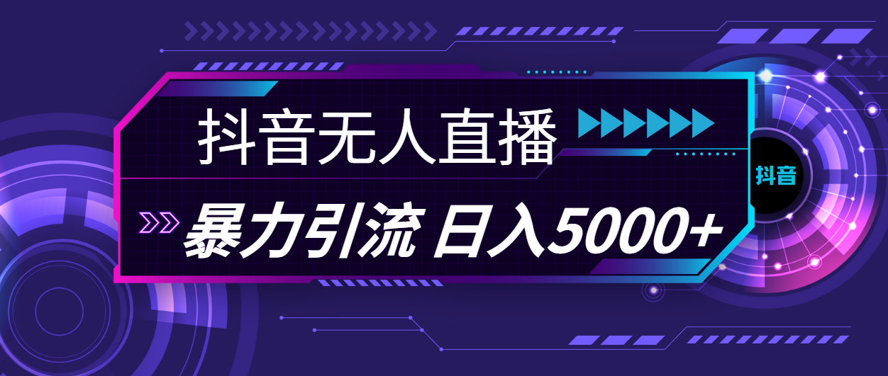 （11709期）抖音无人直播，暴利引流，日入5000+-墨韵博客