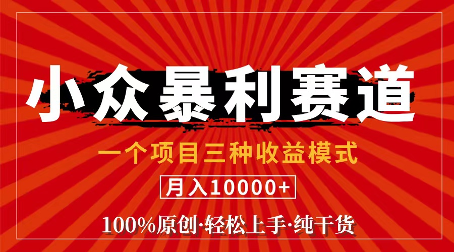 （11695期）视频号【中老年粉深信不疑】小众赛道 100%原创 手把手教学 新号3天收益…-墨韵博客