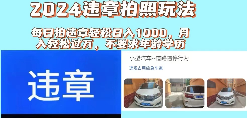 （11743期）2024违章拍照新玩法，推广躺赚+拍照赚钱双模式，日入1000+-墨韵博客