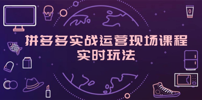 （11759期）拼多多实战运营现场课程，实时玩法，爆款打造，选品、规则解析-墨韵博客