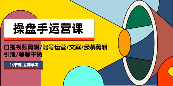 （11803期）操盘手运营课程：口播视频剪辑/账号运营/文案/绿幕剪辑/引流/干货/16节-墨韵博客