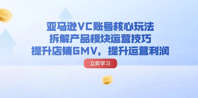 （11848期）亚马逊VC账号核心玩法，拆解产品模块运营技巧，提升店铺GMV，提升运营利润-墨韵博客