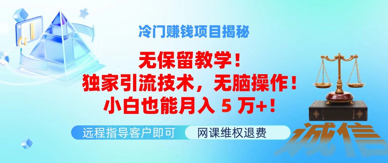 （11864期）冷门赚钱项目无保留教学！独家引流技术，无脑操作！小白也能月入5万+！-墨韵博客