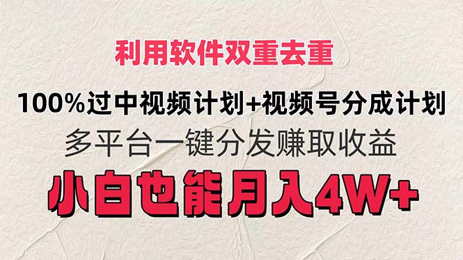 （11862期）利用软件双重去重，100%过中视频+视频号分成计划小白也可以月入4W+-墨韵博客
