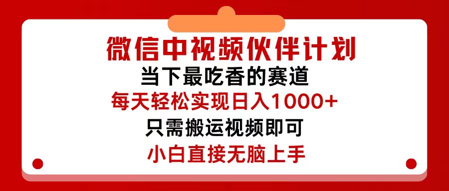 （12017期）微信中视频伙伴计划，仅靠搬运就能轻松实现日入500+，关键操作还简单，…-墨韵博客