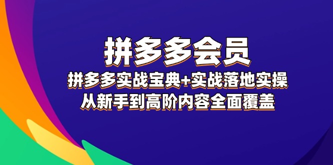（12056期）拼多多 会员，拼多多实战宝典+实战落地实操，从新手到高阶内容全面覆盖-墨韵博客