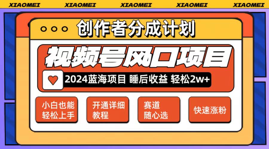 （12084期）微信视频号大风口项目 轻松月入2w+ 多赛道选择，可矩阵，玩法简单轻松上手-墨韵博客