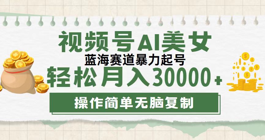 （12087期）视频号AI美女跳舞，轻松月入30000+，蓝海赛道，流量池巨大，起号猛，无…-墨韵博客