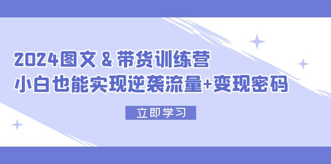 （12137期）2024 图文+带货训练营，小白也能实现逆袭流量+变现密码-墨韵博客