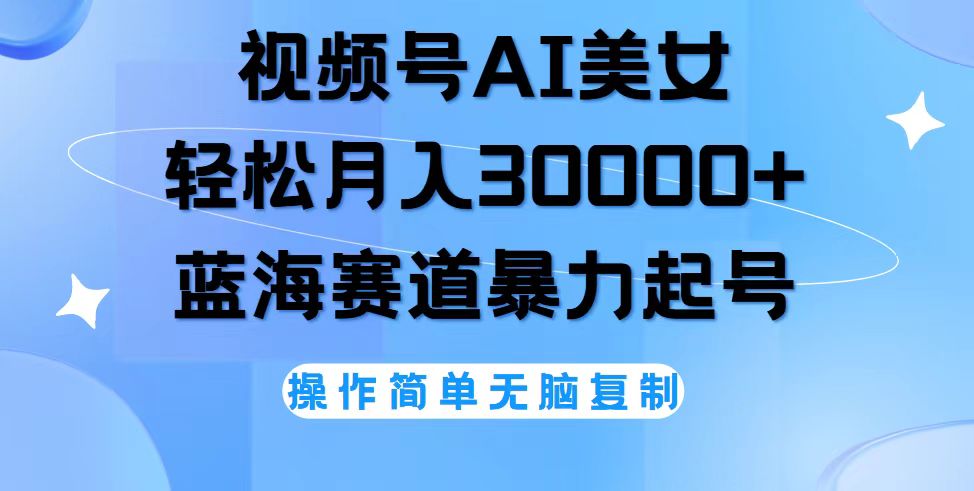 （12125期）视频号AI美女跳舞，轻松月入30000+，蓝海赛道，流量池巨大，起号猛，无…-墨韵博客