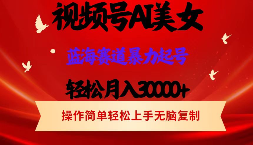 （12178期）视频号AI美女跳舞，轻松月入30000+，蓝海赛道，流量池巨大，起号猛，当…-墨韵博客