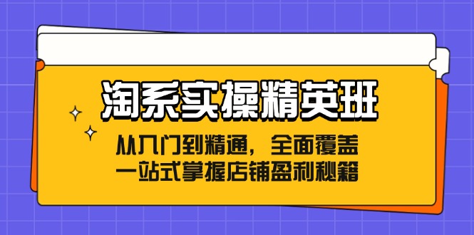 （12276期）淘系实操精英班：从入门到精通，全面覆盖，一站式掌握店铺盈利秘籍-墨韵博客