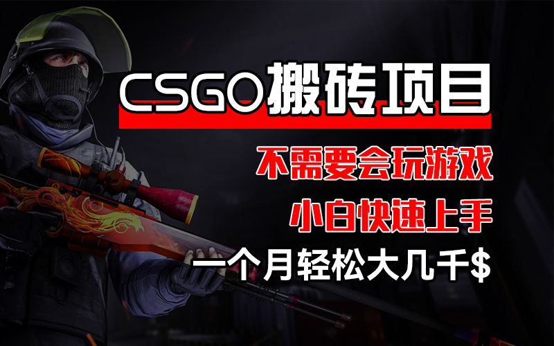 （12332期）CSGO 装备搬砖项目，操作简单，不需要会玩游戏，小白也能快速上手，一…-墨韵博客