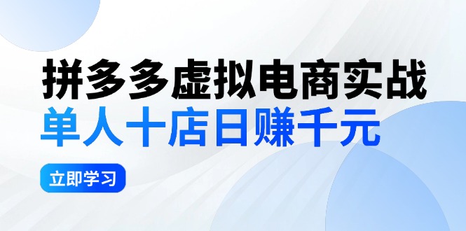 （12326期）拼多多虚拟电商实战：单人10店日赚千元，深耕老项目，稳定盈利不求风口-墨韵博客