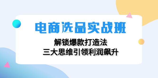 （12398期）电商选品实战班：解锁爆款打造法，三大思维引领利润飙升-墨韵博客