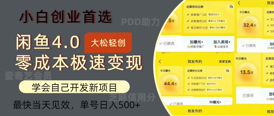 （12434期）闲鱼0成本极速变现项目，多种变现方式 单号日入500+最新玩法-墨韵博客
