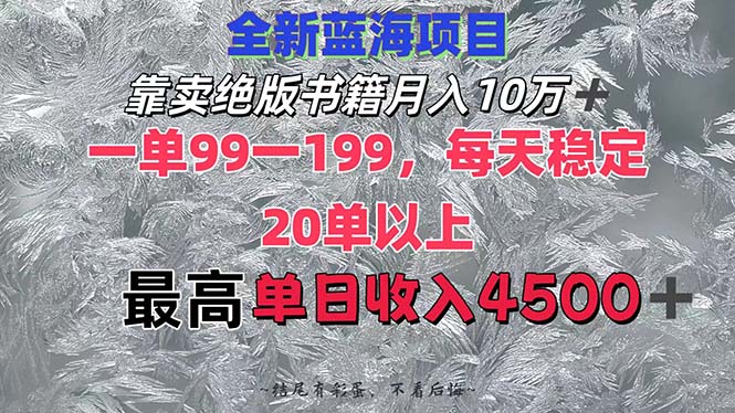 （12512期）靠卖绝版书籍月入10W+,一单99-199，一天平均20单以上，最高收益日入4500+-墨韵博客