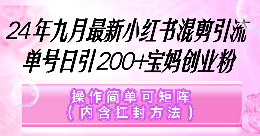 （12530期）小红书混剪引流，单号日引200+宝妈创业粉，操作简单可矩阵（内含扛封…-墨韵博客