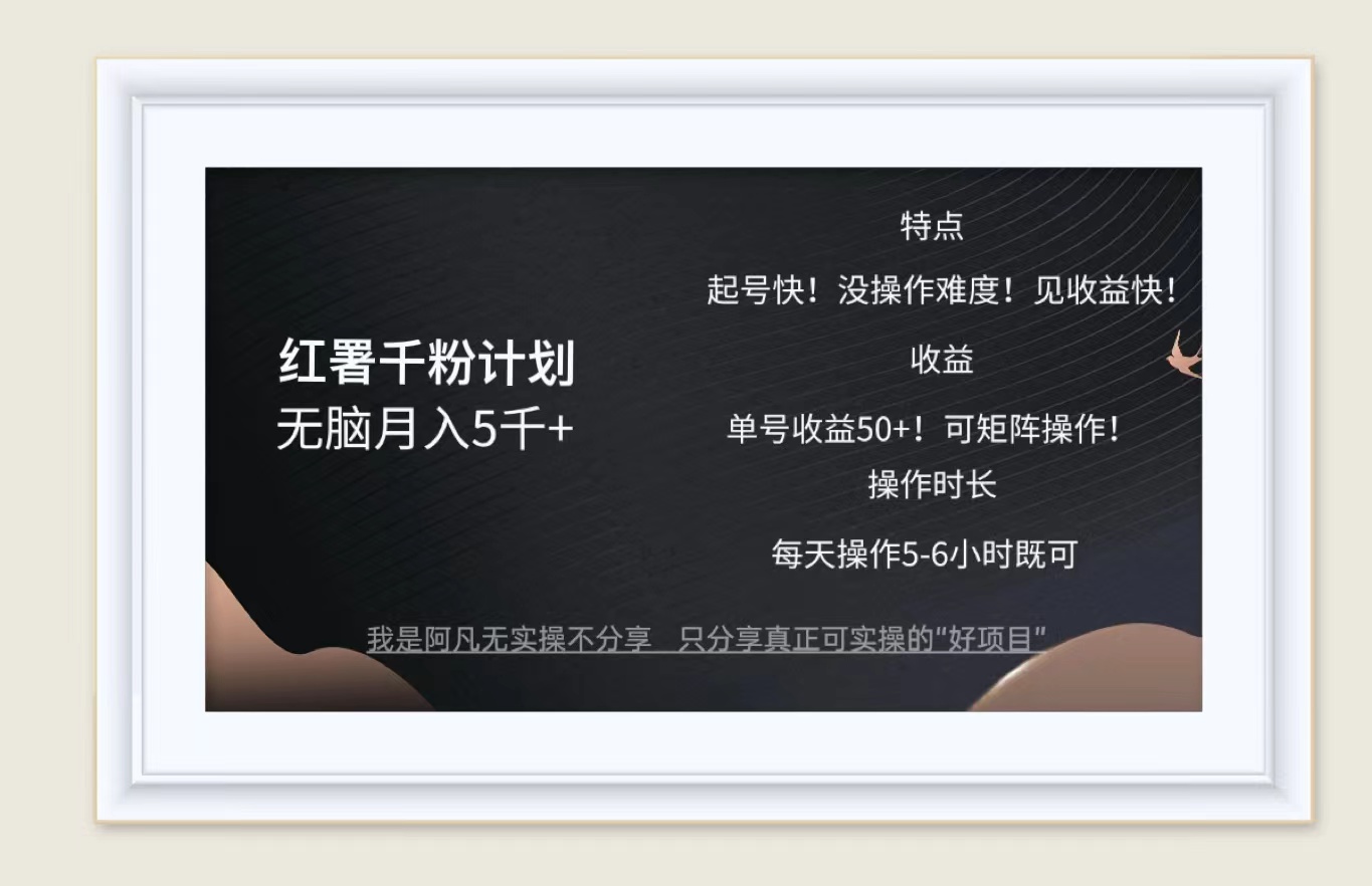 （12560期）红薯千粉计划无脑月入5千+！既做既赚！-墨韵博客