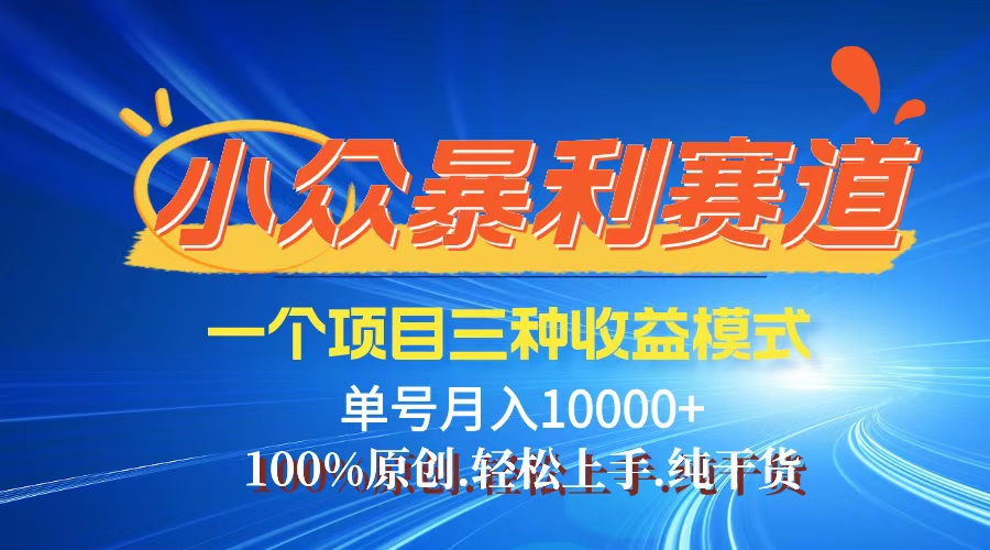 （12579期）【老人言】-视频号爆火赛道，三种变现方式，0粉新号调调爆款-墨韵博客