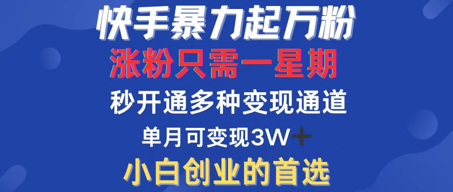 （12651期）快手暴力起万粉，涨粉只需一星期，多种变现模式，直接秒开万合，小白创…-墨韵博客