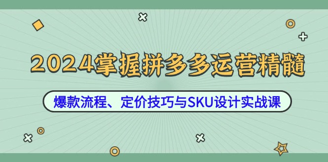 （12703期）2024掌握拼多多运营精髓：爆款流程、定价技巧与SKU设计实战课-墨韵博客