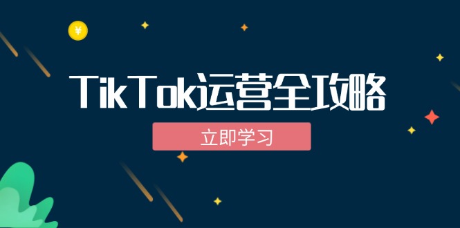 （12739期）TikTok实战运营全攻略：从下载软件到变现，抖音海外版实操教程-墨韵博客