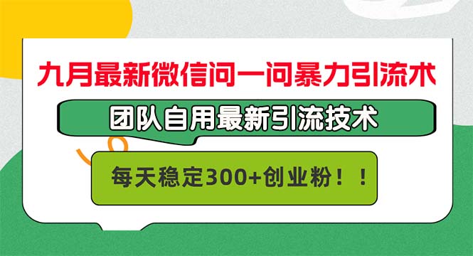 （12735期）九月最新微信问一问暴力引流术，团队自用引流术，每天稳定300+创…-墨韵博客