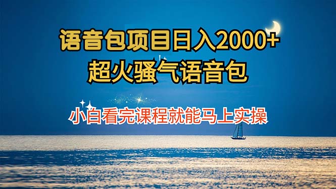 （12734期）语音包项目 日入2000+ 超火骚气语音包小白看完课程就能马上实操-墨韵博客