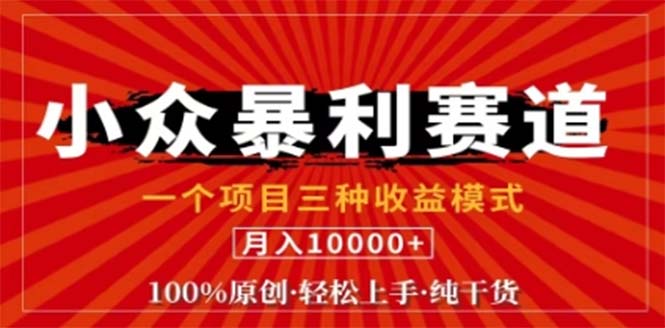 （12756期）视频号最新爆火赛道，三种可收益模式，0粉新号条条原创条条热门 日入1000+-墨韵博客
