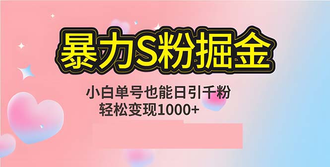 （12778期）单人单机日引千粉，变现1000+，S粉流量掘金计划攻略-墨韵博客
