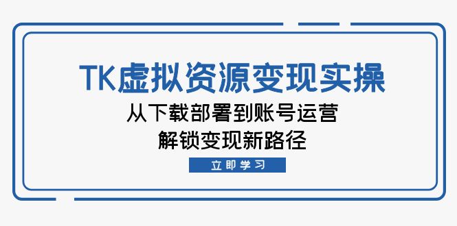 （12770期）TK虚拟资源变现实操：从下载部署到账号运营，解锁变现新路径-墨韵博客