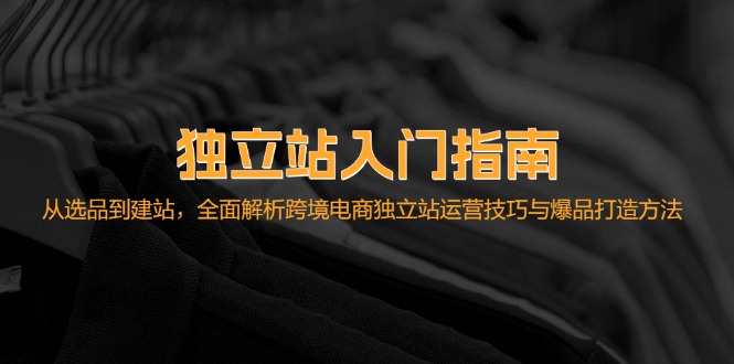 （12882期）独立站入门指南：从选品到建站，全面解析跨境电商独立站运营技巧与爆品…-墨韵博客