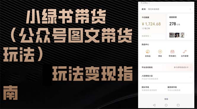 （12902期）小绿书带货（公众号图文带货玩法）玩法变现指南-墨韵博客