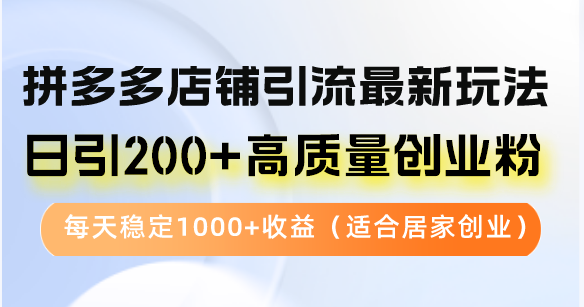 （12893期）拼多多店铺引流最新玩法，日引200+高质量创业粉，每天稳定1000+收益（…-墨韵博客